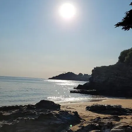 公寓 Au Coeur De 波尔尼克