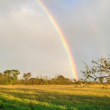 公寓 Au Coeur De 波尔尼克
