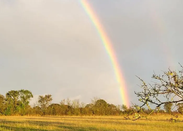 公寓 Au Coeur De 波尔尼克